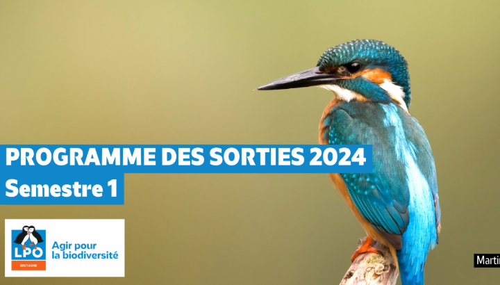Le nouveau programme des sorties 2024 Semestre 1 est disponible !